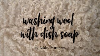 How to Wash Wool with Dish Soap Old Video [upl. by Geerts]