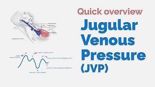 Understanding Jugular Venous Pressure A Quick Overview [upl. by Egidio559]