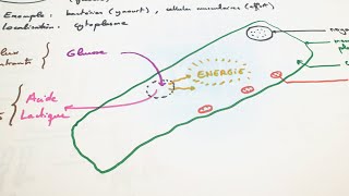 Le Chateliers Principle Part 1  Reactions  Chemistry  FuseSchool [upl. by Frodeen952]