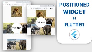 Positioned Widget Flutter Tutorial [upl. by Adorne]