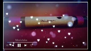 Ferate Parini Ami  Flute Version [upl. by Rikahs]