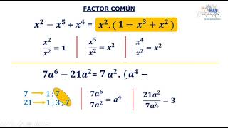 Factor común Primer caso de factoreo [upl. by Cis]