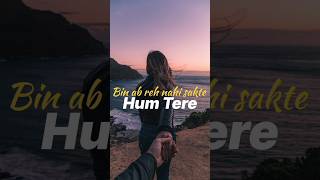 Hum tere bin ab reh nahi sakte tere bina kya Vajoodh Mera  Arijit Singh New song  viral shorts [upl. by Anitsyrhc]