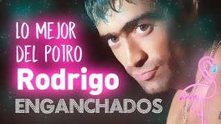 Lo Mejor del Potro Rodrigo Bueno  Grandes Exitos Temas Enganchados [upl. by Nahshon]