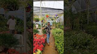 Garden world garden gardenworld nellore viralreels viralshort views nature plants funny [upl. by Eeclehc]