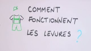 Comment fonctionnent les levures [upl. by Chantalle]