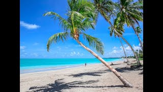 La mejor playa de Brasil  Playa Antunes  Maragogi  Alagoas [upl. by Murry]