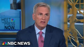 Fmr Speaker Kevin McCarthy DEI attacks on VP Kamala Harris are ‘stupid and dumb’ [upl. by Eimmit961]