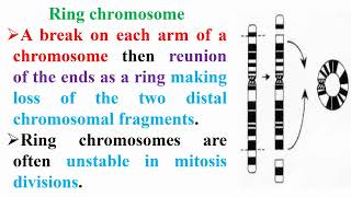 Ring Chromosome Meaning [upl. by Albemarle567]