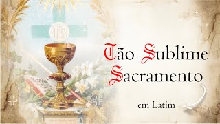 TANTUM ERGO SACRAMENTUM  Como rezar Tão Sublime Sacramento em Latim  Rezar em Latim [upl. by Rann518]