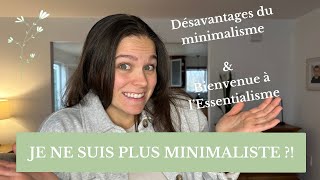 Minimalisme  Les Désavantages 💔 et Découverte de lEssentialisme 🌟 [upl. by Yboc]