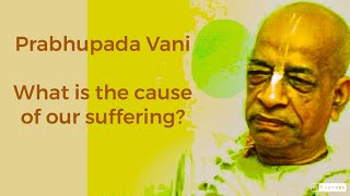 Prabhupada Vani  What is the cause of our suffering [upl. by Pacian]