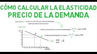 Cómo calcular la elasticidad  Cap 7  Microeconomía [upl. by Paulina]