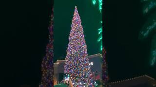 Lighting of the Tallest Tree in Citadel Outlets Christmas Tree Lighting Ceremony [upl. by Vogel]