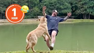 FUNNIEST Pets of 2024So Far 😂  BEST Compilation [upl. by Auhesoj]