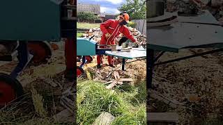 Best Splitter in action woodwork firewood splitter [upl. by Ellivnarg482]