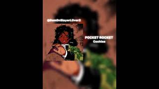 POCKET ROCKET  Cochise  Edit audio  LIKE AND SUB  Slowed [upl. by Alag]