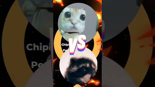 Pedro Pedro Pedro Pedro Pe🦝 VS Chipi Chipi Cat😼🌈🎉 pingme chirothin scocco pasticcera icombi [upl. by Nylac605]