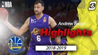 Andrew Bogut Sydney Kings 2019 Highlights Golden State Warriors [upl. by Olim]