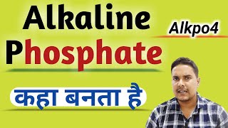 Alkaline phosphatase  Alkaline phosphatase test in hindi [upl. by Stoddard341]