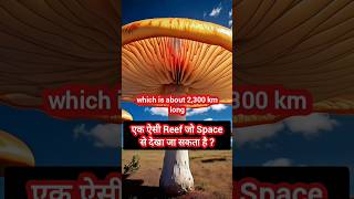 Great Barrier Reef 🪸 facts shorts trending hindi [upl. by Aisan105]