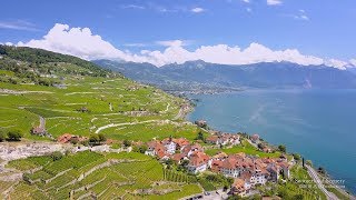 4K Lavaux Lac Léman Vaud SWITZERLAND アルプス山脈 [upl. by Elleirad]