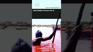 Africa Has a Pink Lake in Senegal Lake Retba News Central TV Africa First [upl. by Yahsram]