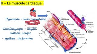 Histologie Les tissus musculaires  Caractéristiques  Types des muscles Strié cardiaque lisse [upl. by Baal]