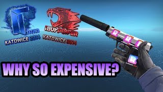 WHY ARE KATOWICE 2014 STICKERS SO EXPENSIVE [upl. by Eaves946]