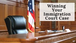 Winning Your Case In Immigration Court [upl. by Korie]