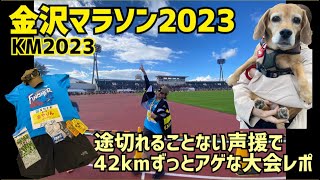 金沢マラソン2023☆ 沿道の盛り上がりでずっと楽しすぎた42km マラソン大会は楽しんだもん勝ち‼︎ [upl. by Eustacia]