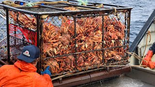 Amazing Catch Hundreds Tons Alaska King Crab With Modern Big Boat  Amazing Crab Fishing on the sea [upl. by Olwena]