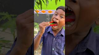 Green Chili Eating Mukbang EatingShow BigBites shortsfeed [upl. by Aihtnis971]