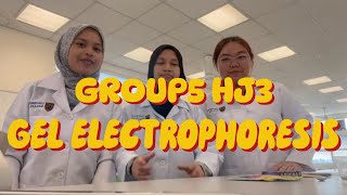 GEL ELECTROPHORESIS EXPERIMENT by GROUP5 HJ3 PASUM [upl. by Streetman199]