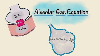 Alveolar Gas Equation  Alveolararterial Aa gradient  Respiratory Physiology [upl. by Notrub]