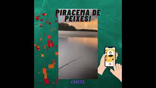 Piracema de Peixes music [upl. by Chase476]