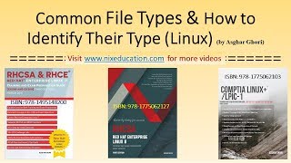 Common Linux File Types and How to Identify Their Type [upl. by Sawyere]