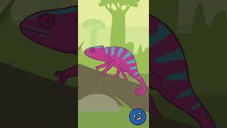 Chameleon Song Short  Fun Educational Animal Song for Kids │ Smiley Rhymes [upl. by Viviene]