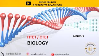 MEIOSIS  STAGES OF MEIOSIS  HTET TGT SCIENCE  CTET LEVEL 2  BIOLOGY  DSSSB SCIENCE [upl. by Bigot]