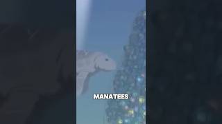 The moment when manatees were in South Park 😂😂 [upl. by Imat]