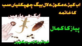 kitchen cleaning🔴🔴MAGIC ONION  How To Kill Cockroach Lizard Within 5 minutes  Home Remedy [upl. by Lanaj615]