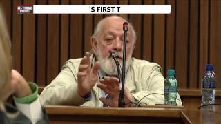 Barry Steenkamp testifies at Pistorius sentencing [upl. by Aziaf]