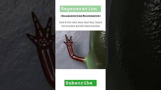 Regeneration in salamander biology science onlinesclasses viral youtube shorts education [upl. by Annalise]