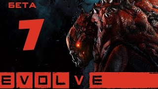 Evolve с котанами 1901  1  2 [upl. by Stouffer31]