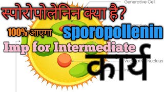 स्पोरोपोलेनिन क्या है एवं कार्य  Sporopollenin kya hai sporopollenin [upl. by Aneeuqahs]