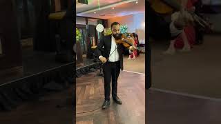 Violin Cover  O Sole Mio [upl. by Derby506]