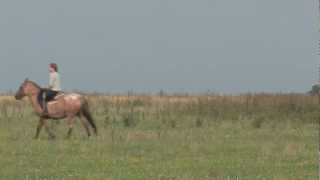 Pampas Horse Riding [upl. by Grory]