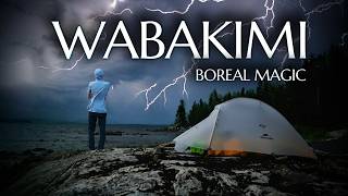 8 Days Alone in the Boreal Forest  Heres What Happened  WABAKIMI [upl. by Anairad]