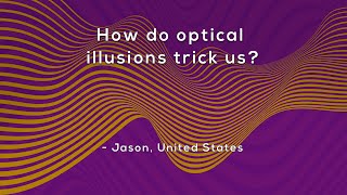 How do optical illusions trick us [upl. by Enihpad995]