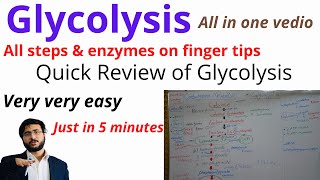 Glycolysis  Quick Review  All Steps  Enzymes  Trick to Learn  Glycolytic Pathway  Products [upl. by Atsok]